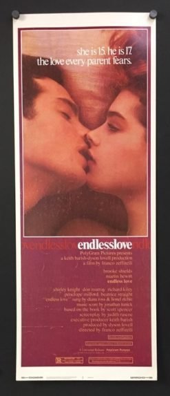 Endless Love (1981) - Original Insert Movie Poster
