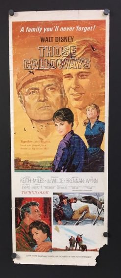 Those Calloways (1965) - Original Insert Movie Poster