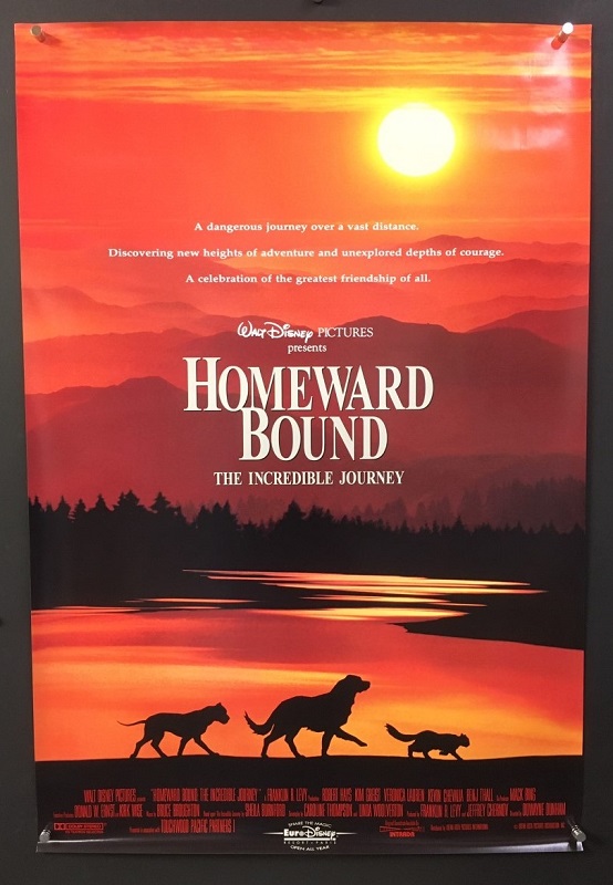 homeward bound movie free download