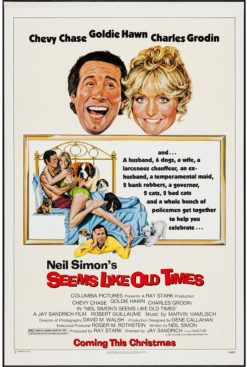 Seems Like Old Times (1980) - Original One Sheet Movie Poster