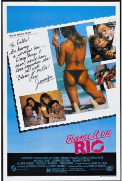 Blame It On Rio (1984) - Original One Sheet Movie Poster