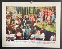 Splendor In the Grass (1961) - Original Lobby Card Movie Poster