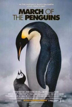 March Of the Penguins (2005) - Original One Sheet Movie Poster