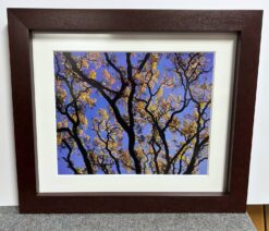 Framed Rodney Lough, Jr. Photograph (1990's) - Black Tree Limbs
