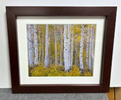 Framed Rodney Lough, Jr. Photograph (1990's) - Aspen Trees