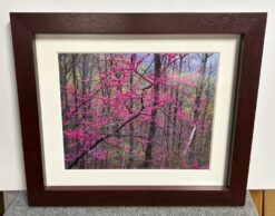 Framed Rodney Lough, Jr. Photograph (1990's) - Magenta Buds On Trees
